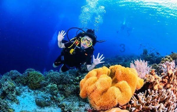 普拉格能源盘中异动 早盘快速上涨6.34%报2.85美元