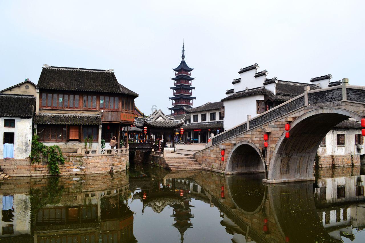 动物帮帮忙保卫家园